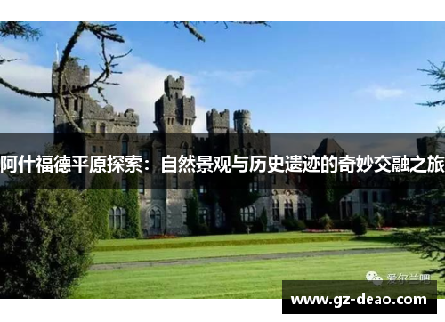 阿什福德平原探索：自然景观与历史遗迹的奇妙交融之旅