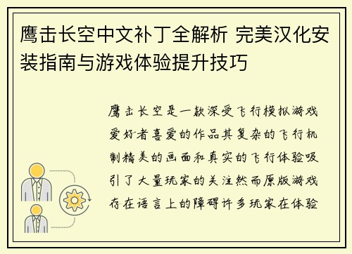 鹰击长空中文补丁全解析 完美汉化安装指南与游戏体验提升技巧