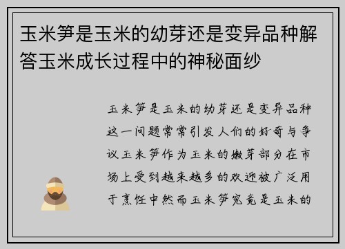 玉米笋是玉米的幼芽还是变异品种解答玉米成长过程中的神秘面纱